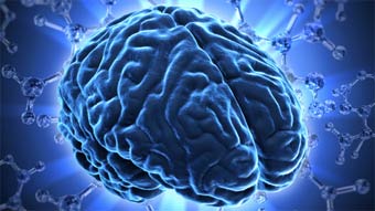 مغز انسان قابلیت تطبیق با فعالیت‌های مختلف را دارد