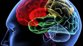 چگونگی کنترل افکار توسط مغز