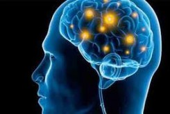 حافظه مغز انسان چند گیگابایت، ترابایت یا پتابایت است؟
