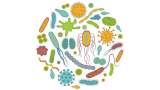 غذاهای "پروبیوتیک" چه فایده‌ای برای بدن دارند؟