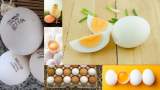 باورهای غلط درباره‌ تخم‌مرغ که لازم است بدانید