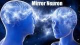 نورون‌های آینه‌ای، بنیان عصب‌شناختی روابط اجتماعی و همدلی در انسان