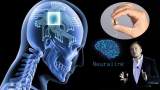 تراشه "نورالینک" کمتر از یک سال دیگر به مغز انسان می‌رسد!