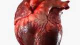 علائمی که نشان می‌دهد قلبتان باید معاینه شود